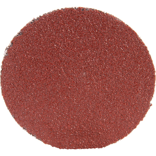 Roloc Disc 361F, 1-1/2" Dia., P100 Grit, Aluminum Oxide Waymarc Industries Inc