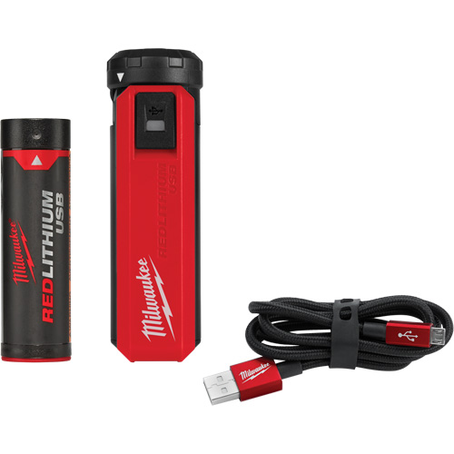 Redlithium USB Charger & Power Source Kit, 4 V, Lithium-Ion Waymarc Industries Inc