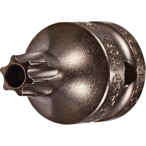 Socket Bit, Torx&reg; Tamper, 8 x 3/4" L, 1/4" Drive Waymarc Industries Inc