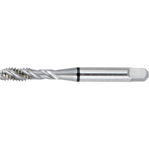 Taraud BT super haute performance &agrave; cannelure spiral&eacute;e DRILLCO, Acier rapide, Filet de 7/16"-20 Waymarc Industries Inc