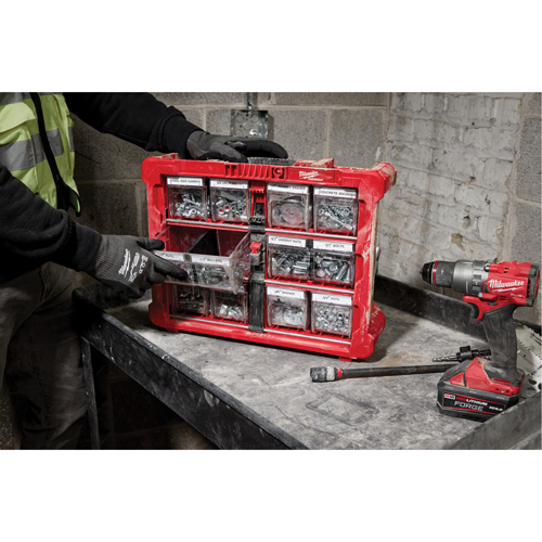 Organisateur PACKOUT &agrave; bac inclinable, 15-1/5" x 19-7/10" x 6-7/10", Noir/Rouge Waymarc Industries Inc