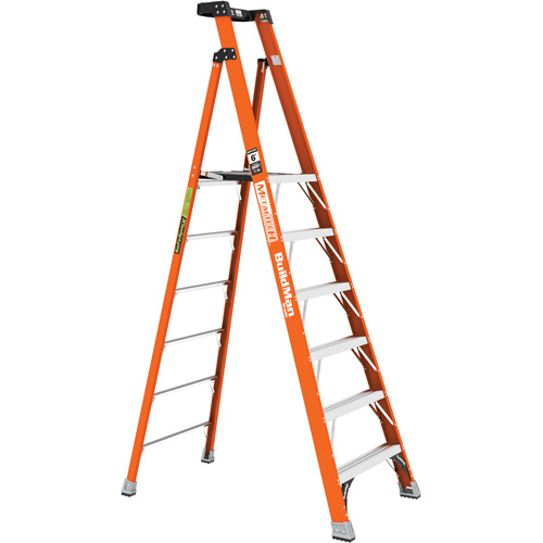 Safespace Platform Step Ladder, 6', 300 lbs. Cap. Waymarc Industries Inc