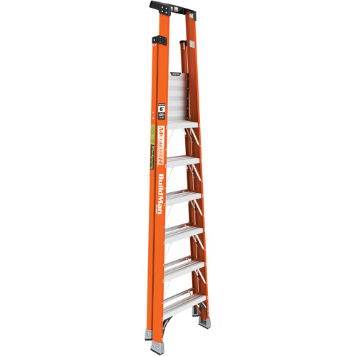 Safespace Platform Step Ladder, 6', 300 lbs. Cap. Waymarc Industries Inc