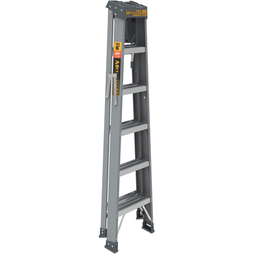 Step Ladder with Paint Tray, 6', Fibreglass, 225 lbs. Capacity, Type 2 Waymarc Industries Inc