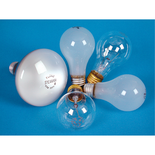 LAMPE INCANDESCENTE,25W,130V,GIVREE,2/PQT Waymarc Industries Inc