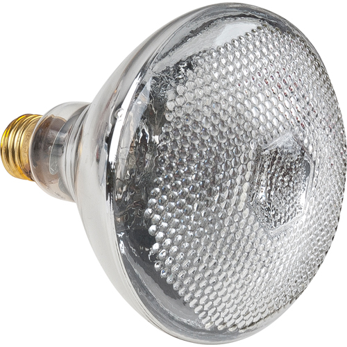 Economy Line Incandescent Lamps Waymarc Industries Inc
