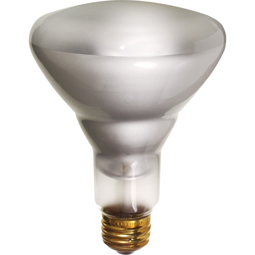 Lampes &agrave; incandescence &eacute;conomiques Waymarc Industries Inc