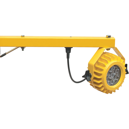 Heavy-Duty Loading Dock Lights, 40" Arm, 300 W, LED Lamp, Metal Waymarc Industries Inc