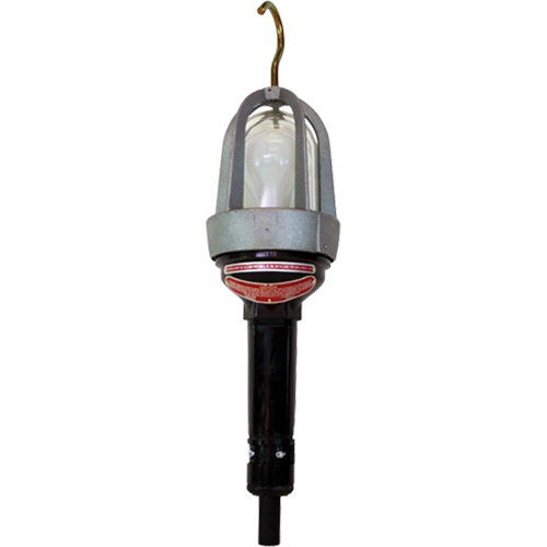 Baladeuses pour emplacements dangereux, DEL, 20 W, 2400 Lumens Waymarc Industries Inc