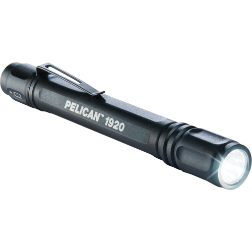 Lampes de poche ProGear 1920, DEL, 120 lumens, Piles AAA Waymarc Industries Inc