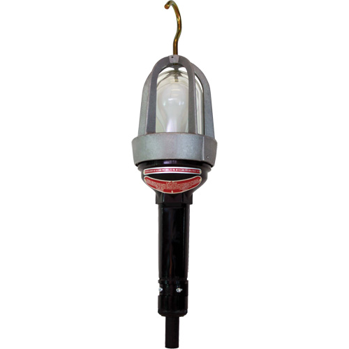 Baladeuses pour emplacements dangereux Waymarc Industries Inc