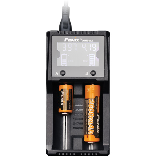 Chargeur de batterie &agrave; deux canaux ARE-A2 Waymarc Industries Inc