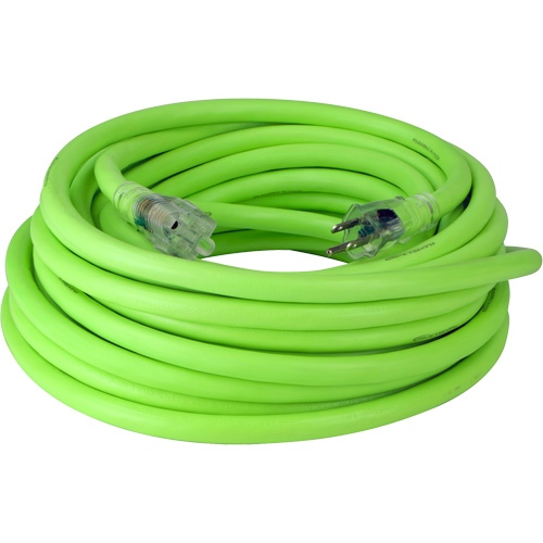 Cordon rallonge industriel Flexzilla Pro, Toutes saisons, SJTW, AWG 10/3, 15 A, 50' Waymarc Industries Inc