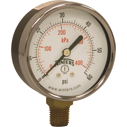 Economy Pressure Gauge, 2-1/2" , 0 - 60 psi, Bottom Mount, Analogue Waymarc Industries Inc