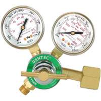 Light-Duty Single Stage Regulator, Oxygen, CGA540 Inlet Waymarc Industries Inc