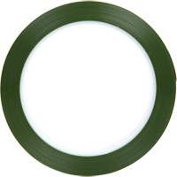 Polyester Tape, Polyester, 25.4 mm (1") W x 66 m (216') L, 1.9 mils Thick Waymarc Industries Inc