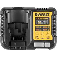 Chargeur de batterie, 20 V, Lithium-ion Waymarc Industries Inc