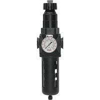 Filtre/r&eacute;gulateur Modulair 400 avec vidange manuelle, 3/4" NPT, 200 psi, Capacit&eacute; de 9,1 oz liq. Waymarc Industries Inc