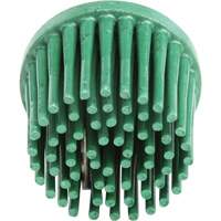 Disques bristle Roloc, Grain 120, 1" dia. Waymarc Industries Inc