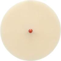 Disque Scotch-Brite 7502 pour retrait de colle et de bandes de moulage, 6" dia. Waymarc Industries Inc