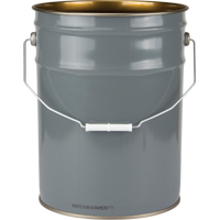 Lined Pail, Steel, 20 L Waymarc Industries Inc