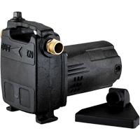 Portable Cast Iron Transfer Pump, 115 V, 950 GPH, 1/2 HP DC841 | Waymarc Industries Inc
