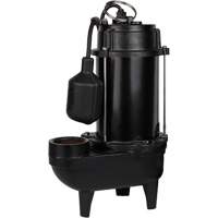Cast Iron Effluent Pump, 4800 GPH, 120 V, 7.8 A, 1/2 HP DC844 | Waymarc Industries Inc