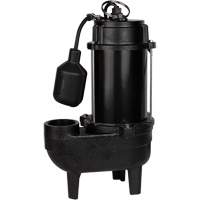 Cast Iron Sewage Pump, 120 V, 10 A, 6400 GPH, 3/4 HP DC849 | Waymarc Industries Inc