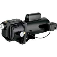 Dual Voltage Cast Iron Shallow Well Jet Pump, 115 V/230 V, 1260 GPH, 1 HP Waymarc Industries Inc