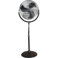 Fans & Air Circulators