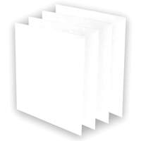 Pr&eacute;-filtres AeraMax Pro AM3 ou AM4, 13,75" la x 0,13" p x 14,38" h Waymarc Industries Inc