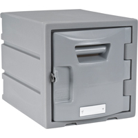 Locker, 12" x 15" x 12", Grey, Assembled FH725 | Waymarc Industries Inc