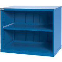Shelf Cabinets, Steel, 33-1/2" H x 40-1/4" W x 22-1/2" D, Bright blue FI159 | Waymarc Industries Inc