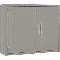Wall Mounted Cabinet, Steel, 2 Shelves, 30" H x 36" W x 12" D, Grey Waymarc Industries Inc