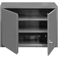 Wall-Mounted Cabinet, 27" H x 29-7/8" W x 13-11/16" D, 2 Shelves, Steel, Grey Waymarc Industries Inc