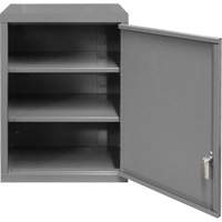 Wall-Mounted Cabinet, 27" H x 13-11/16" W x 18" D, 2 Shelves, Steel, Grey Waymarc Industries Inc