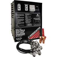 Multi-Battery Series Charger Waymarc Industries Inc