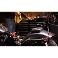 Genius&reg; 10 10-Amp Battery Charger Waymarc Industries Inc