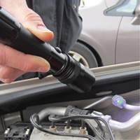 Rechargeable UV Flashlight Waymarc Industries Inc