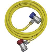 Ensemble flexible de rinçage pour syst&egrave;me de climatisation R134a Waymarc Industries Inc