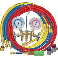 Jeu de manom&egrave;tres collecteurs avec coupleurs manuels et mini-injecteur de colorant Waymarc Industries Inc