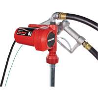 12V DC Fuel Transfer Pump with Nozzle Waymarc Industries Inc