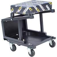 2-in-1 Seat-Stool Combo Waymarc Industries Inc