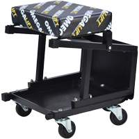 2-in-1 Seat-Stool Combo Waymarc Industries Inc