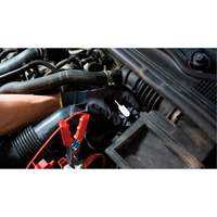 Pompette de purge de frein Brake-Pro &agrave; structure haute avec adaptateurs Waymarc Industries Inc