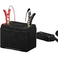 Batterie au lithium &agrave; double usage de groupe 27, 100Ah Waymarc Industries Inc