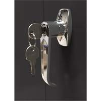 Armoire d'entreposage, Acier, 4 Tablettes, 66" h x 30" la x 15" P, Noir Waymarc Industries Inc