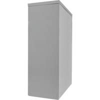 Counter-High Storage Cabinet, Steel, 2 Shelves, 42" H x 30" W x 15" D, Grey Waymarc Industries Inc