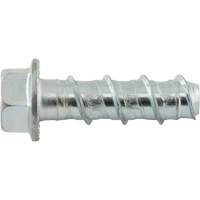 Wedge Bolts, Carbon Steel, 1/2" x 2" Waymarc Industries Inc