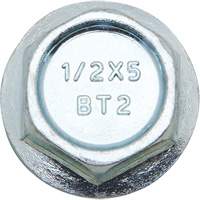 Wedge Bolts, Carbon Steel, 1/2" x 2" Waymarc Industries Inc